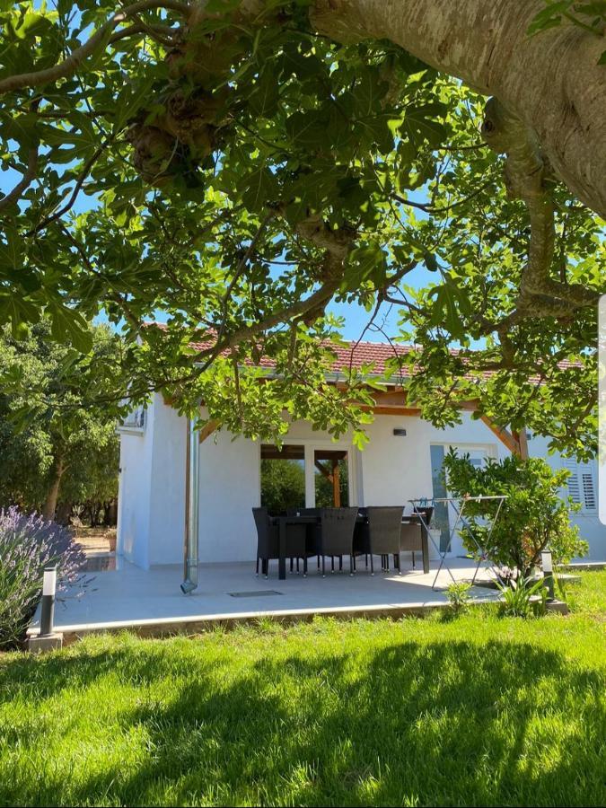 Holiday House Lucia Sukošan Kültér fotó